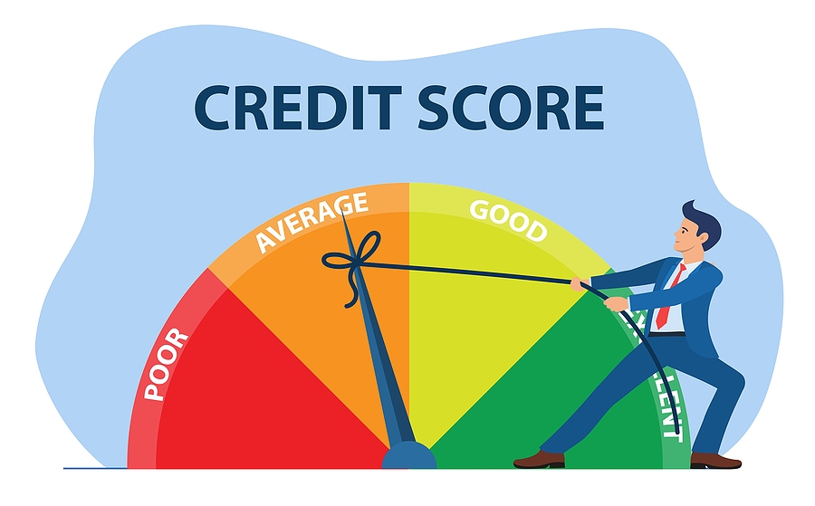 Build Your Credit History